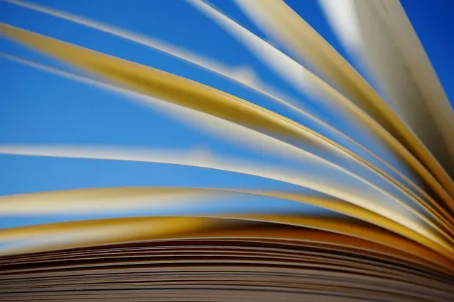 Cómo utilizar el storytelling para conectar con tu audiencia en redes sociales
